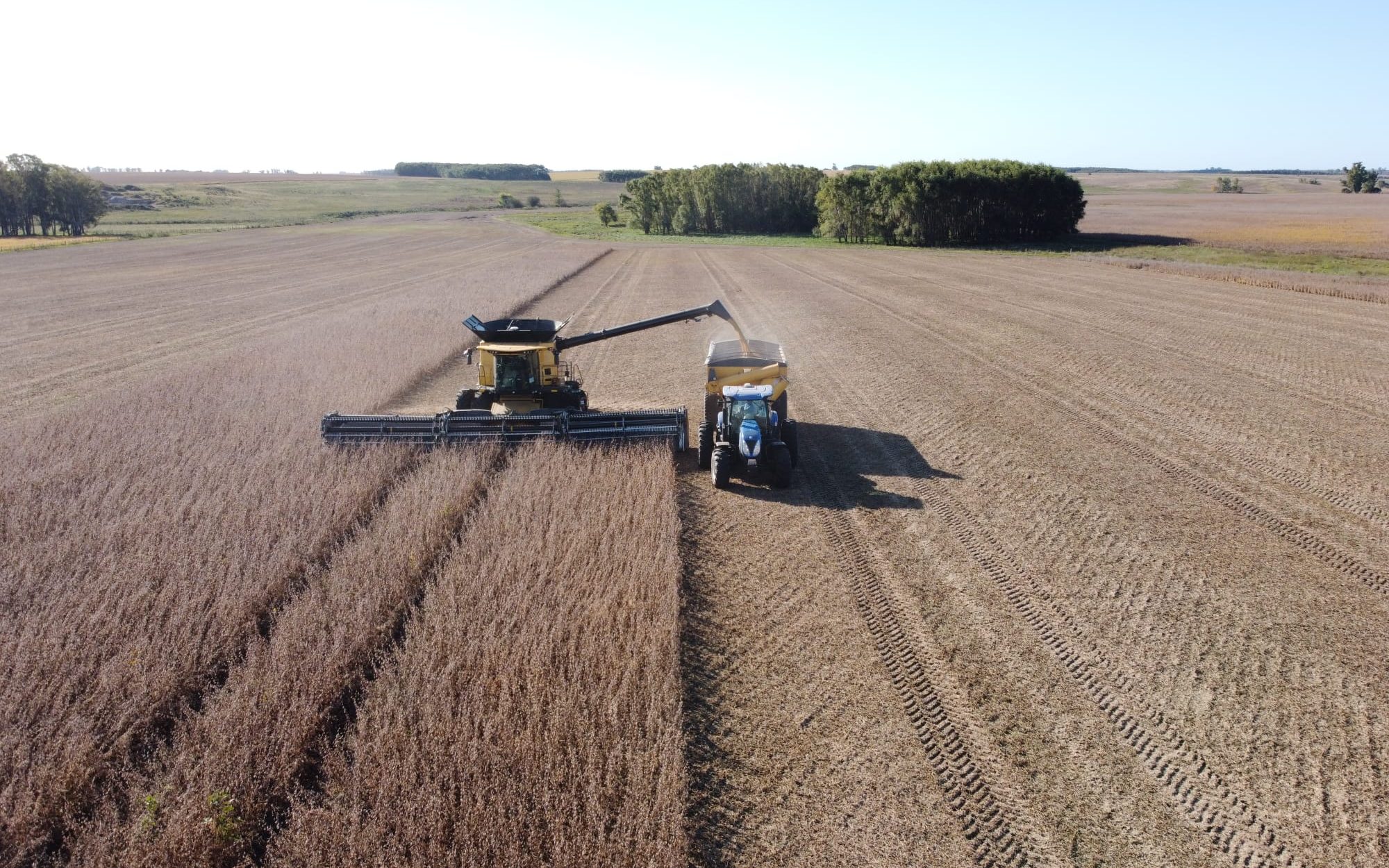 Camión de carga LogiAr